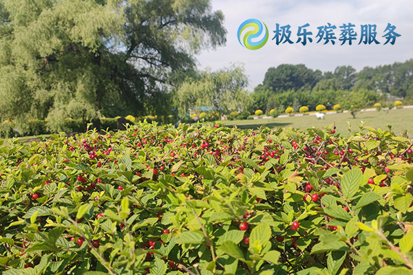 沈阳殡葬服务有哪些不同套餐选择？