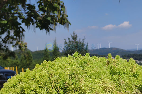 寄放骨灰盒的地方需要去祭拜吗?为什么? 寄放骨灰盒的地方需要去祭拜吗?为什么?