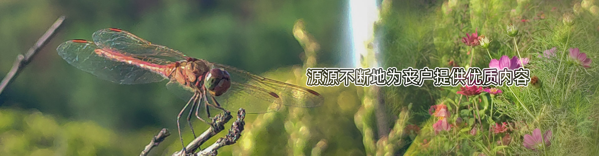 殡葬百科