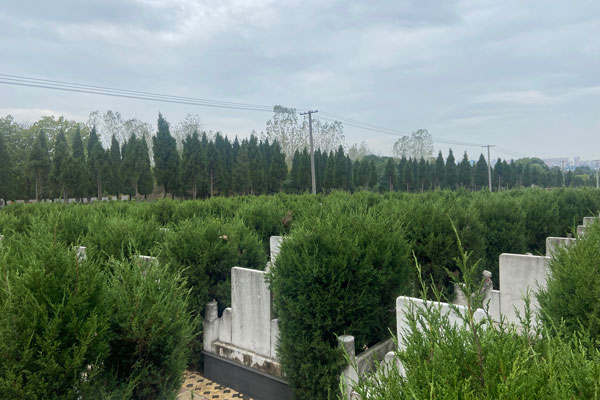 沈阳墓园为客户提供了哪些主要服务,以帮助他们更好地处理丧葬事宜? 沈阳墓园为客户提供了哪些主要服务,以帮助他们更好地处理丧葬事宜?