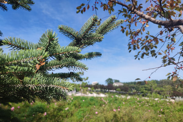 福州墓园价格.jpg 福州墓园价格排名及选择参考,影响墓地价格的因素都有哪些?.jpg