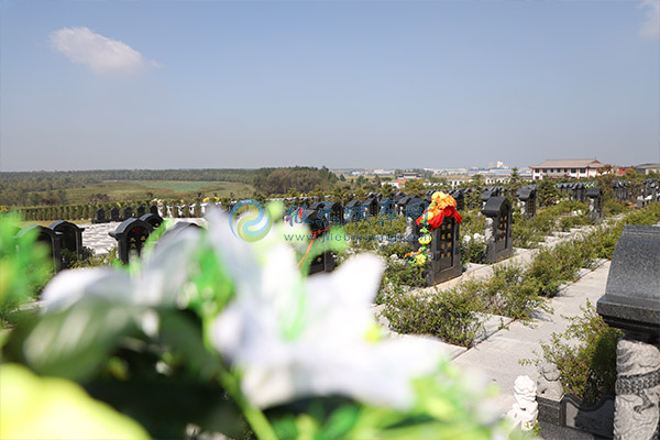 龙凤园公墓墓地价格 龙凤园公墓墓地价格