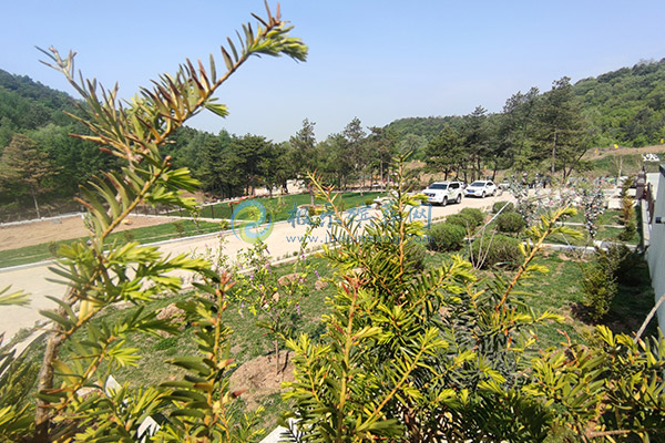 石家庄陵园价格一览表及墓园墓地选购指南 石家庄陵园价格一览表及墓园墓地选购指南