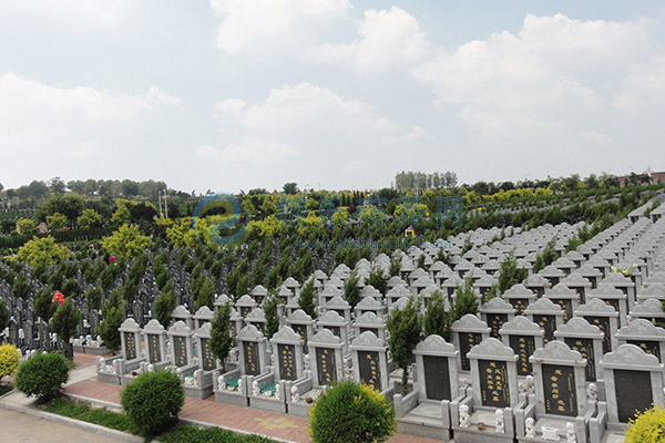 1773307215686733.jpg 龙生墓园.jpg