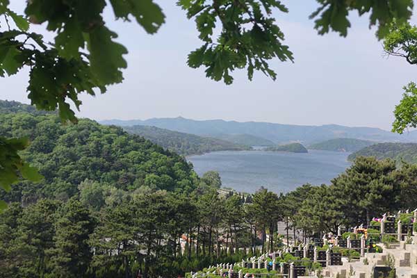 大河贝墓园 大河贝墓园