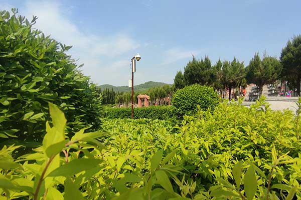 大河贝墓园价格 大河贝墓园价格